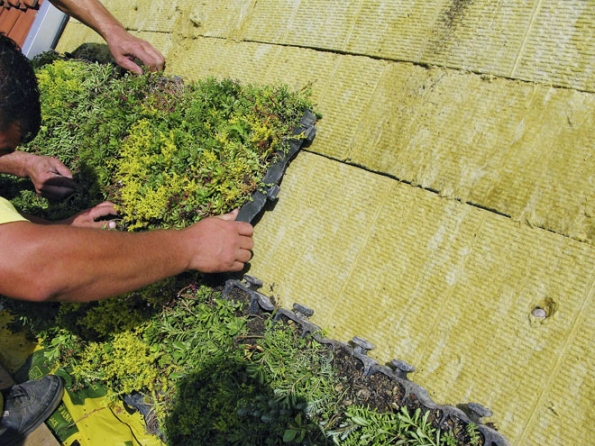 Podkladem zeleně může být speciální hydrofilní minerální vlna. Desky jsou podobné běžné tepelné izolaci, materiál je vzdušný, lehký a dokáže akumulovat vodu (ISOVER) Podkladem zeleně může být speciální hydrofilní minerální vlna. Desky jsou podobné běžné tepelné izolaci, materiál je vzdušný, lehký a dokáže akumulovat vodu (ISOVER)